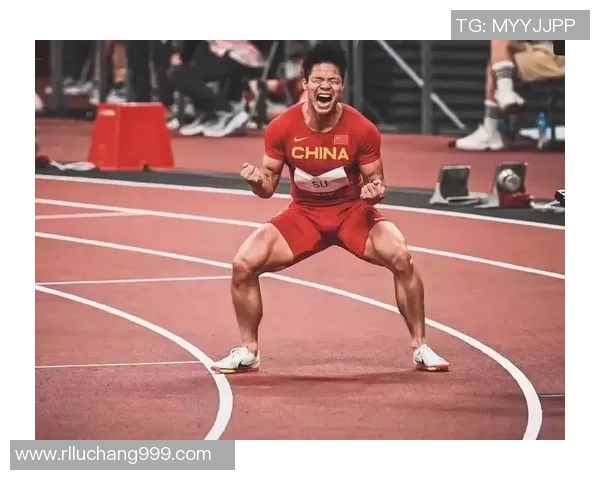 深圳飞盘队的拼搏旅程：从初学者到全国赛场的奋斗纪实